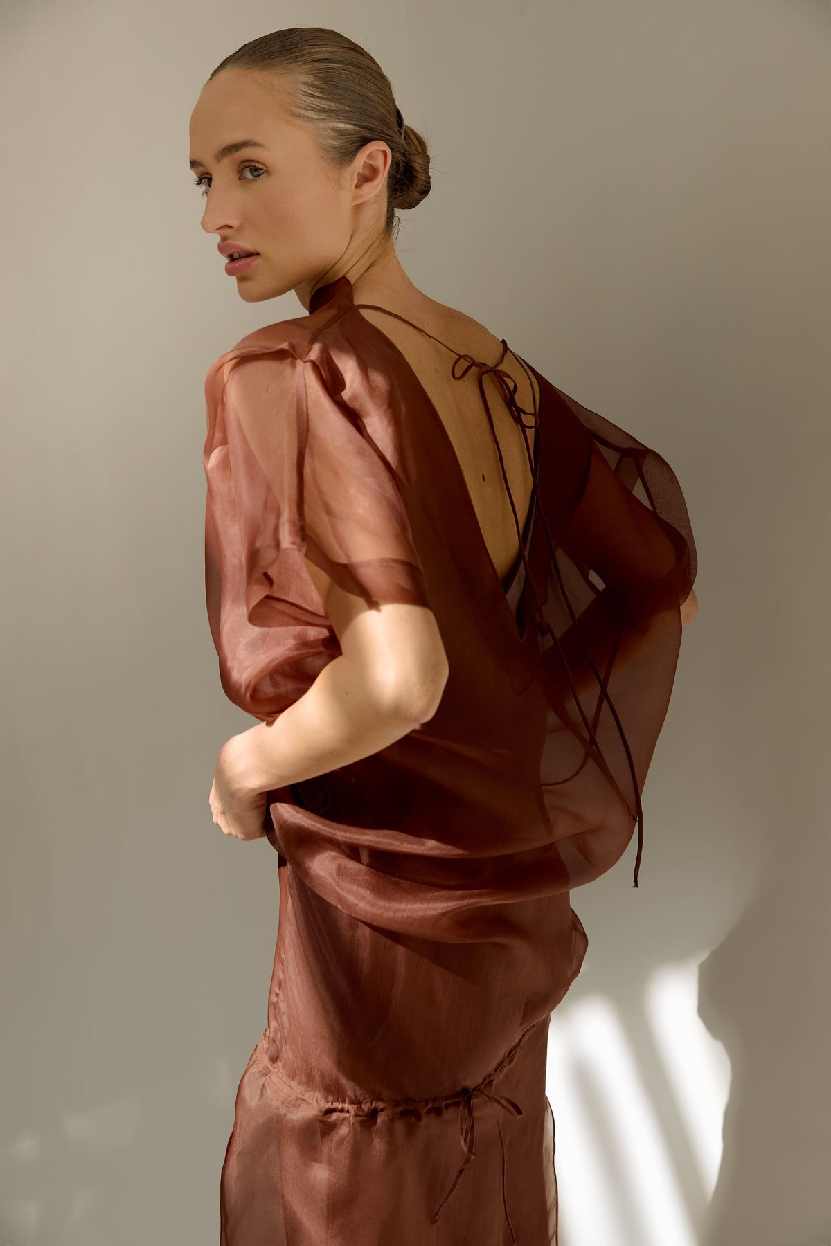 Sheer Dress