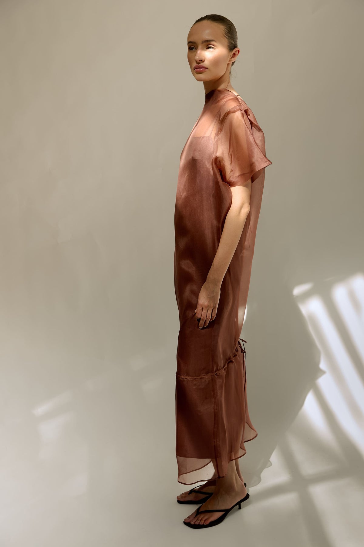 Sheer Dress