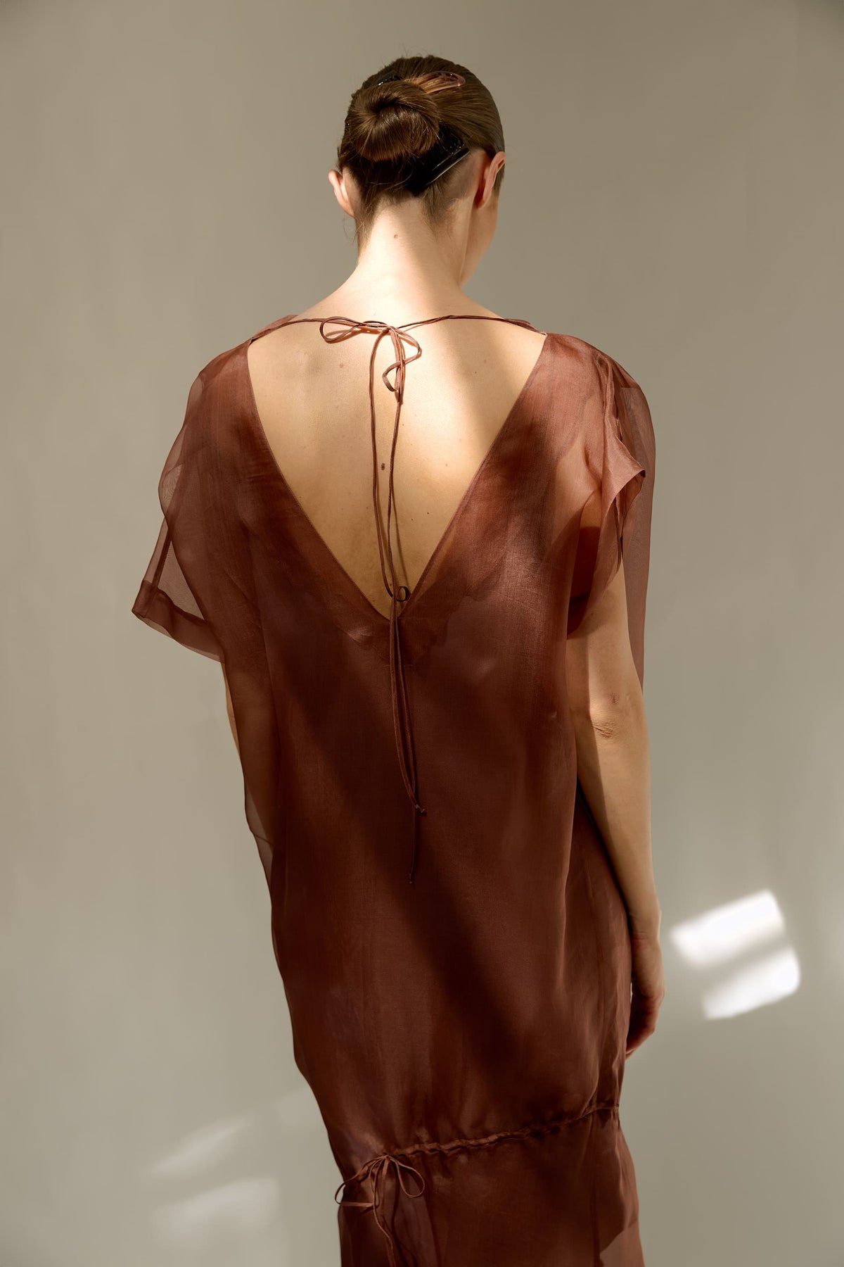 Sheer Dress