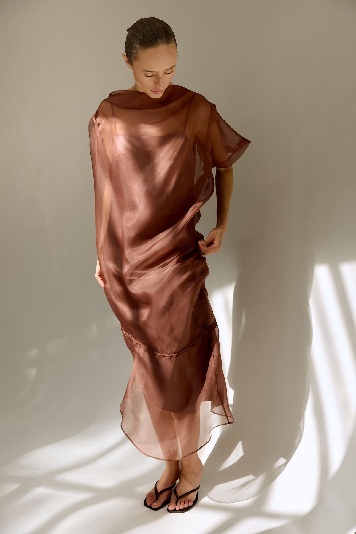 Sheer Dress