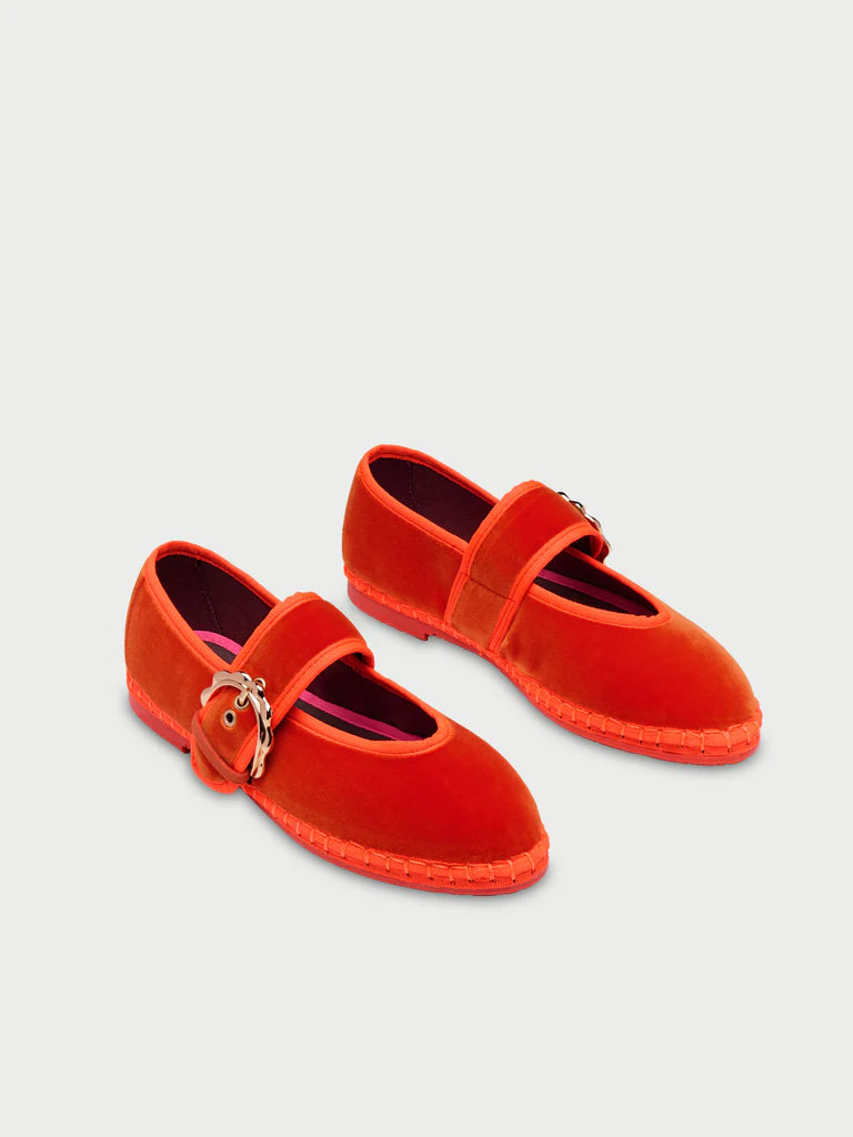Lady Sophie Orange