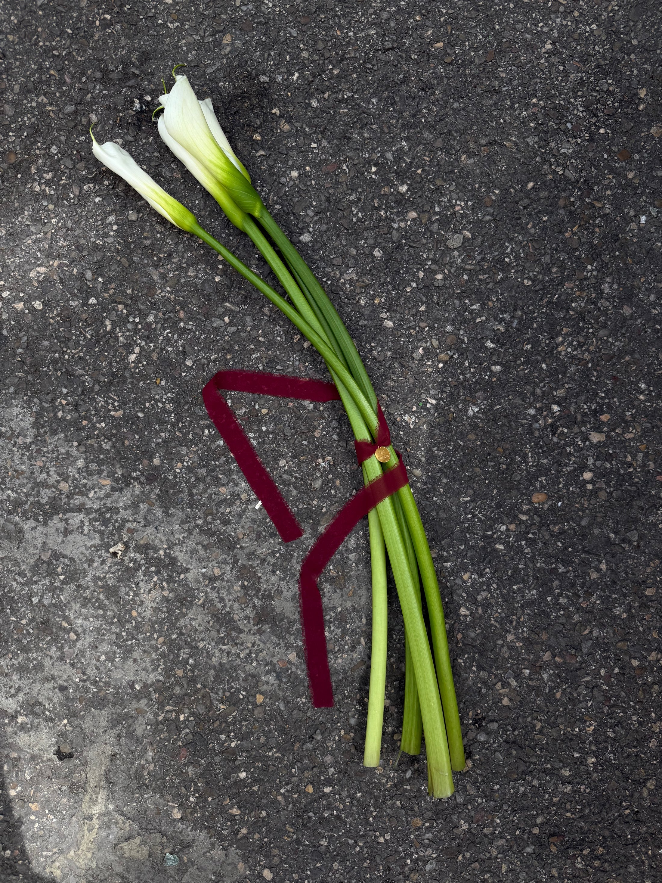 Medalla Ramo de Novia Plata/Oro - Cintas Varios Colores