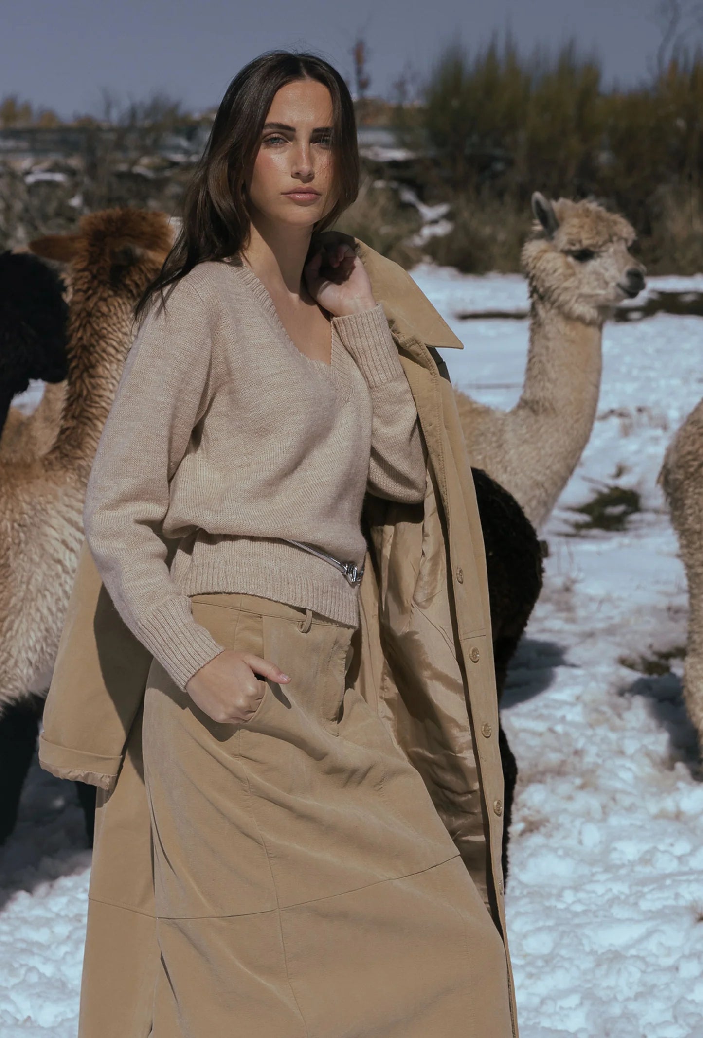 V-Neck Sweater: Camel