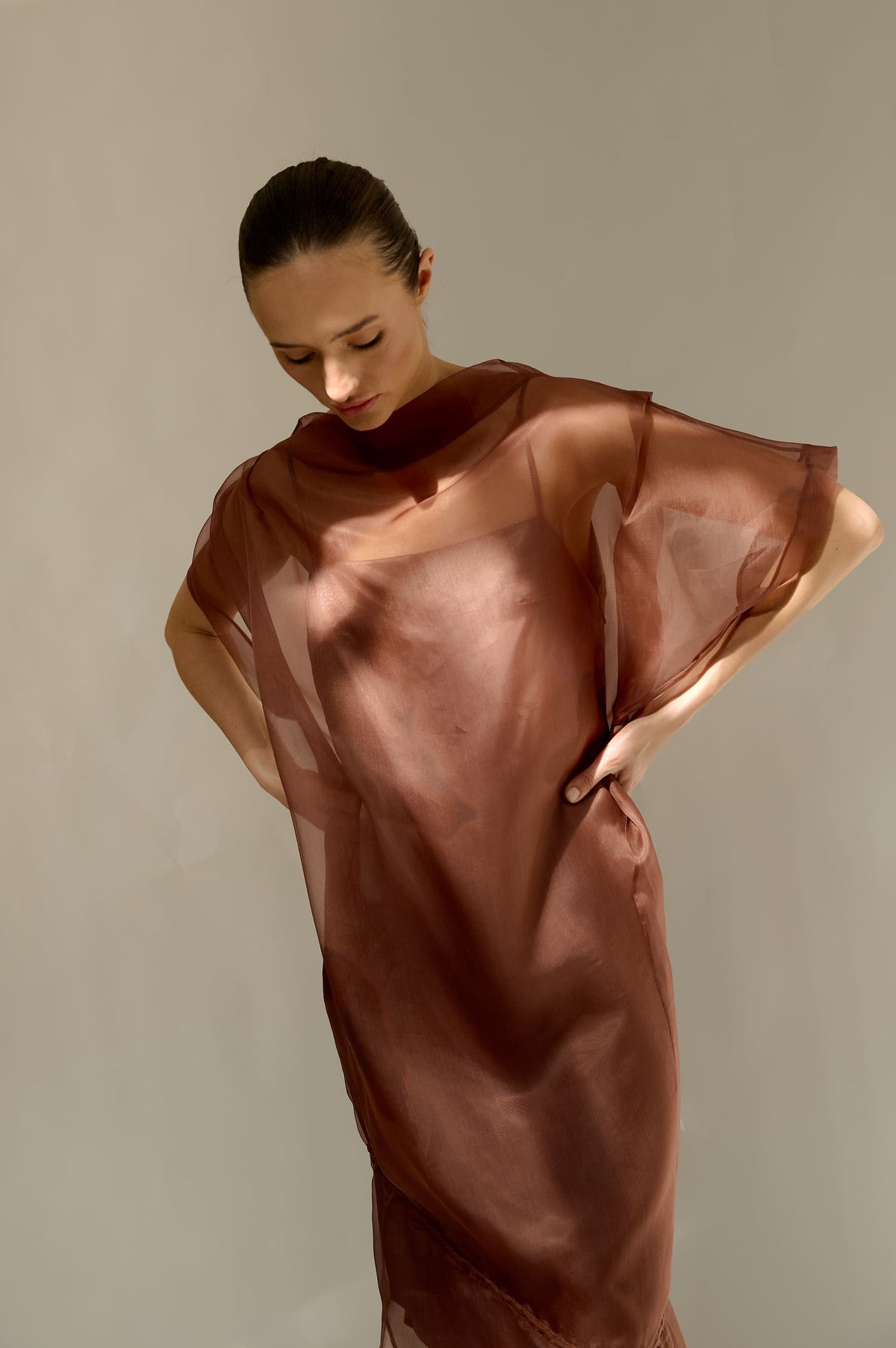 Sheer Dress