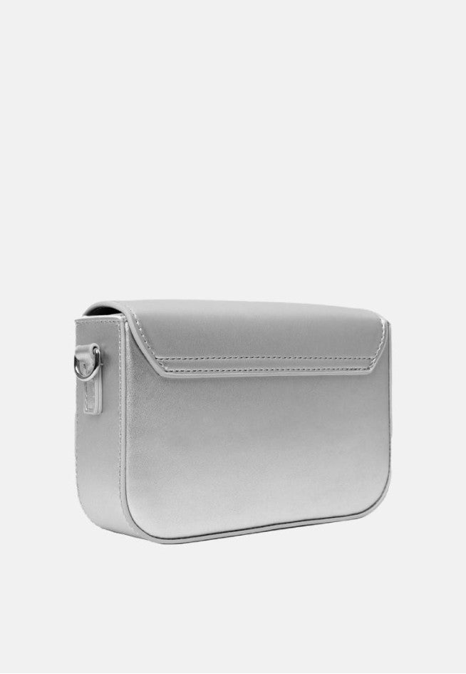 Pantone Silver Bag