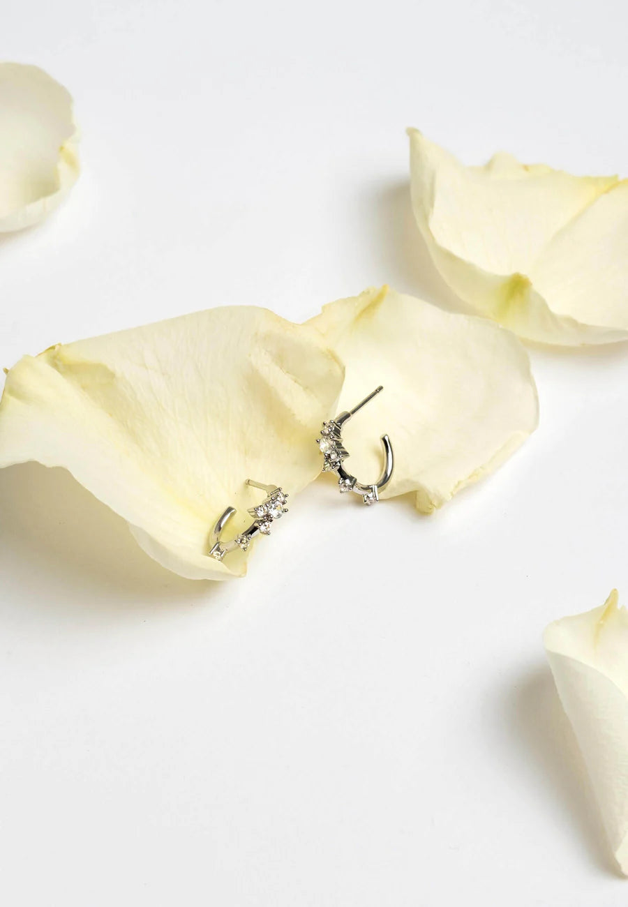 Aros Orchid Plata