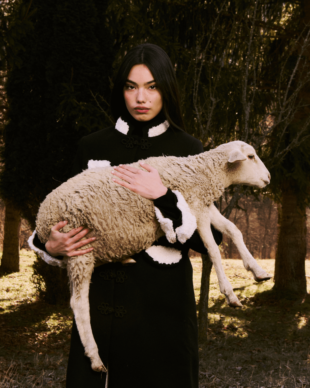 Abrigo Dinasty Black Cashmere