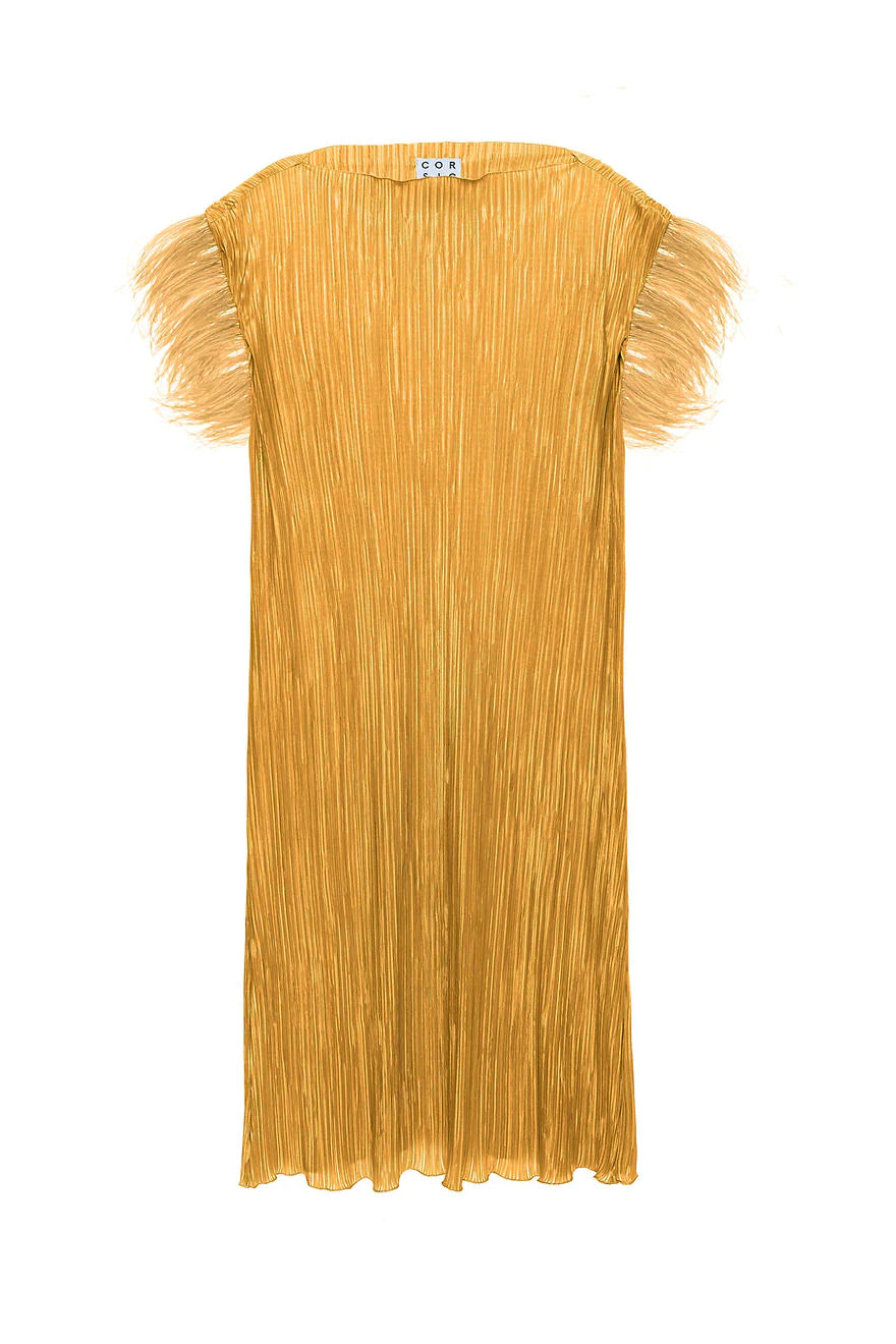 Pleated Dress With Feathers